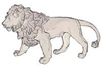 Picture of a lion